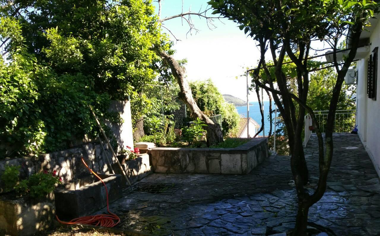 House Orange Apartments Herceg Novi Exterior foto